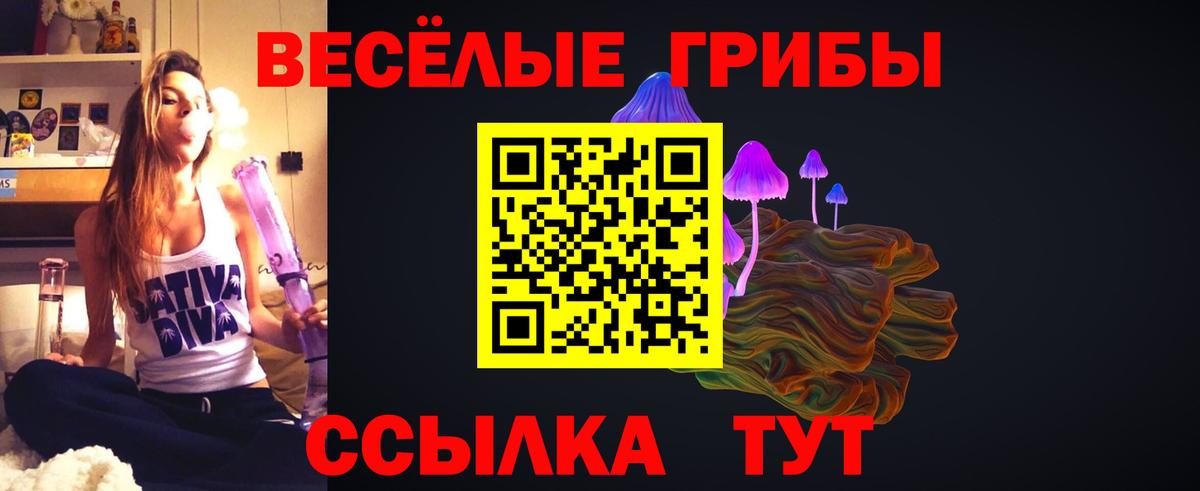 Великий Устюг  Псилоцибиновые грибы MAGIC MUSHROOMS  Псилоцибиновые грибы мухоморы  Вход с VPN 